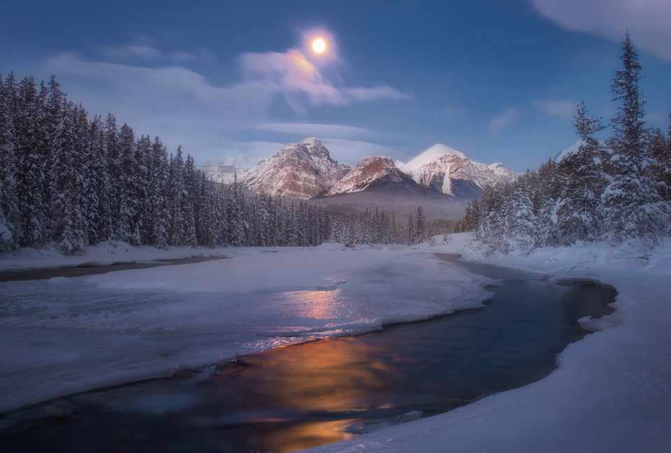 Golden Silence