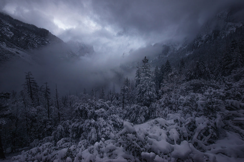The Perfect Storm