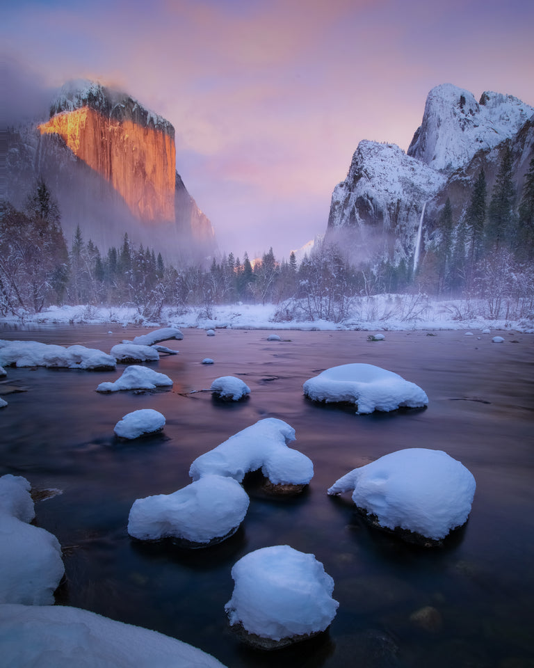 Yosemite Treasure