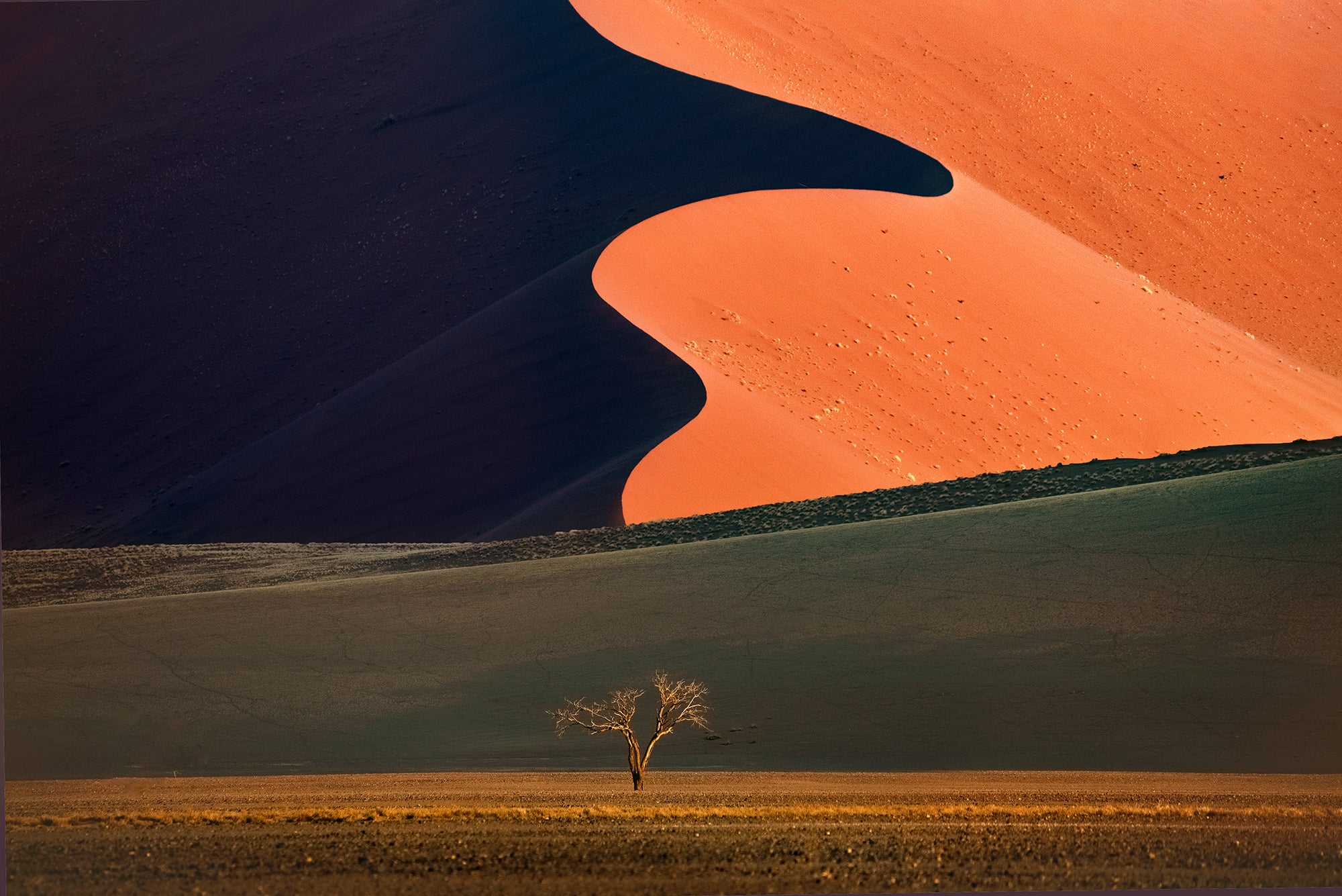 Desert Dreams (Namibia)