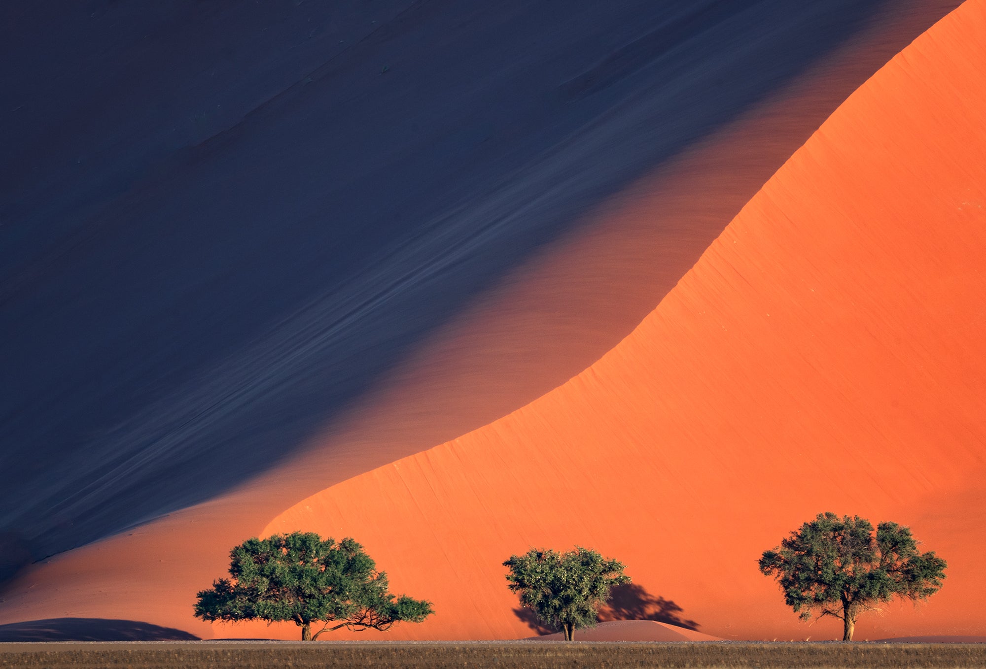 Desert Dreams (Namibia)