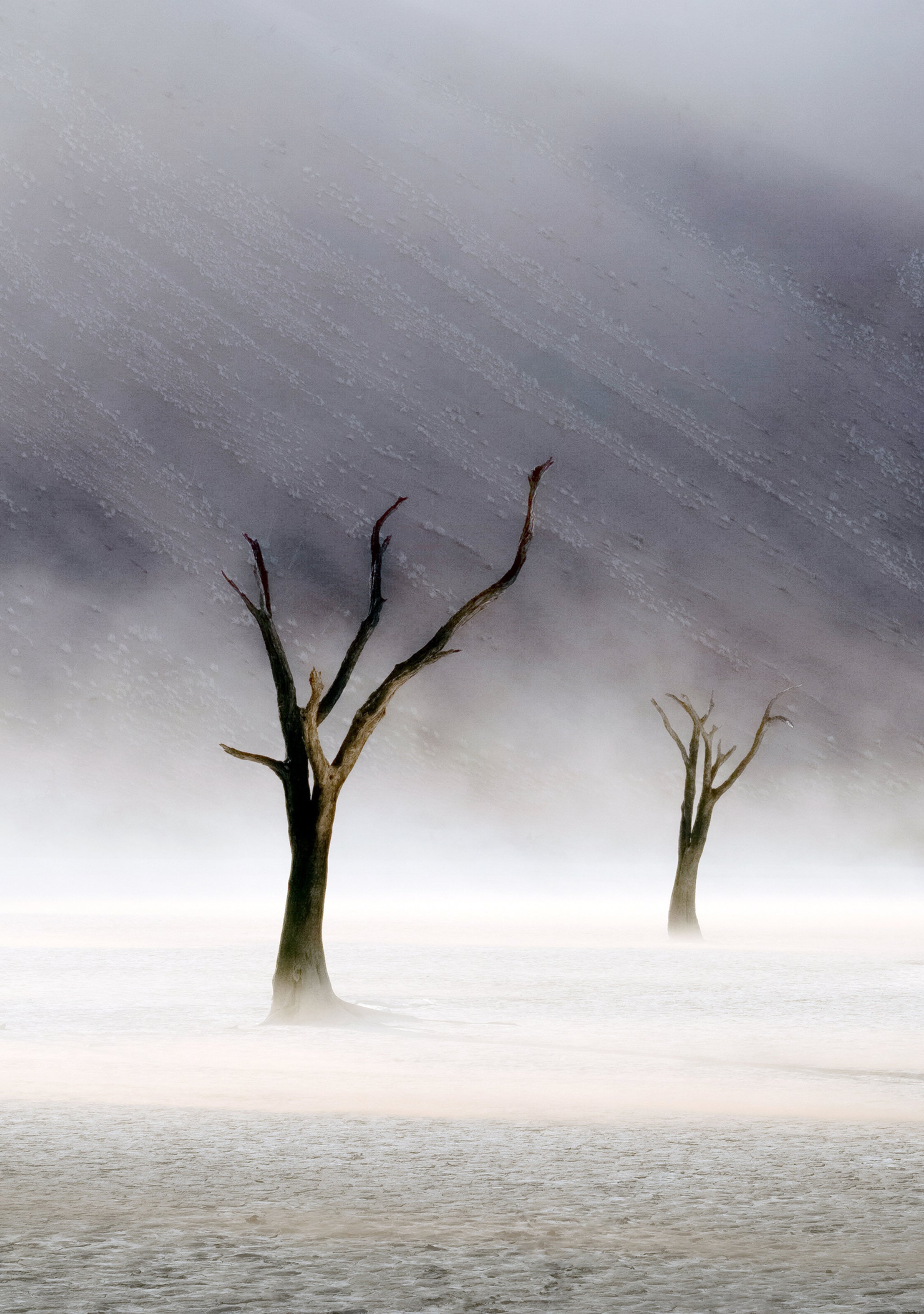 Desert Dreams (Namibia)