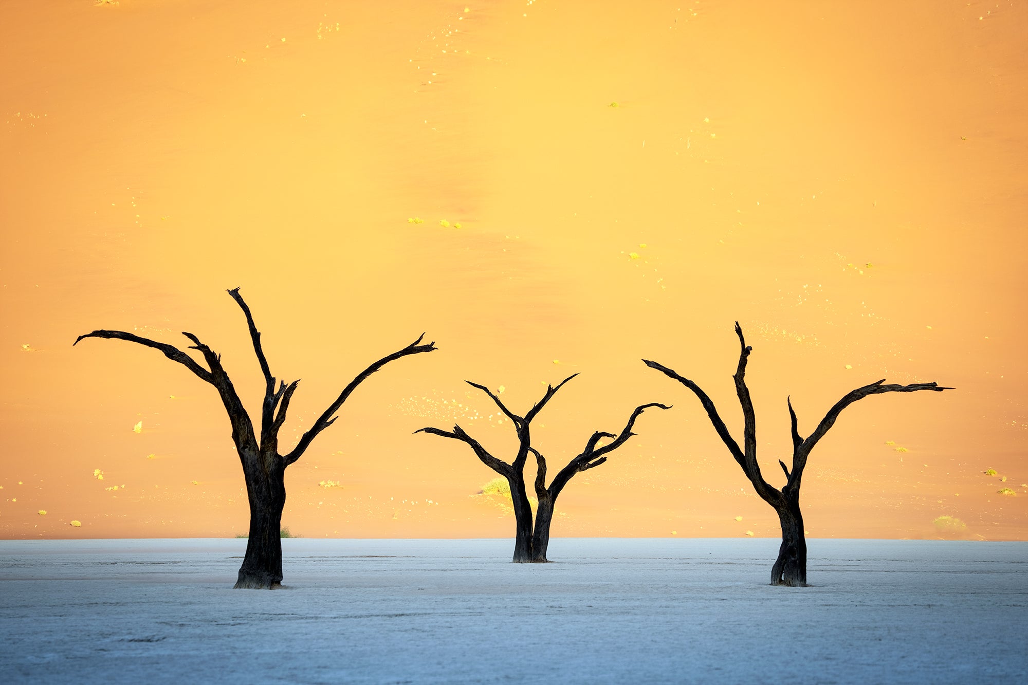 Desert Dreams (Namibia)