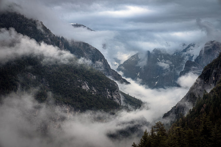 Spring in Yosemite 2026