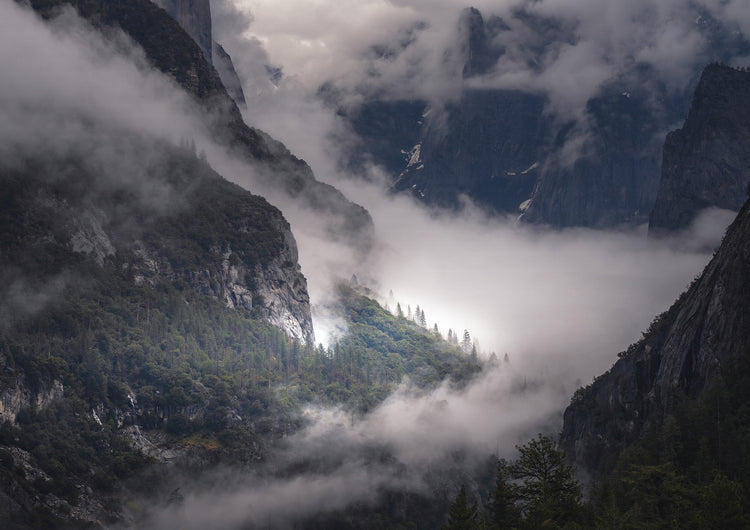 Spring in Yosemite 2026