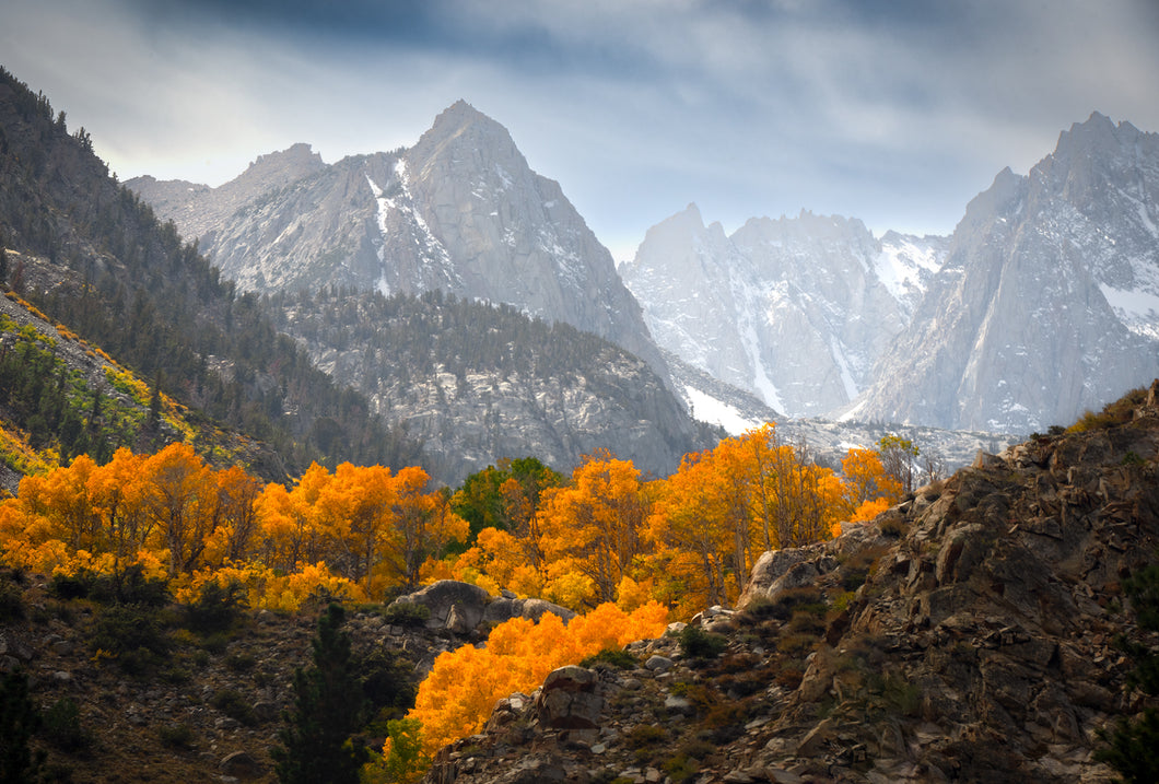 Autumn in Eastern Sierra