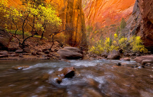 Autumn Springs