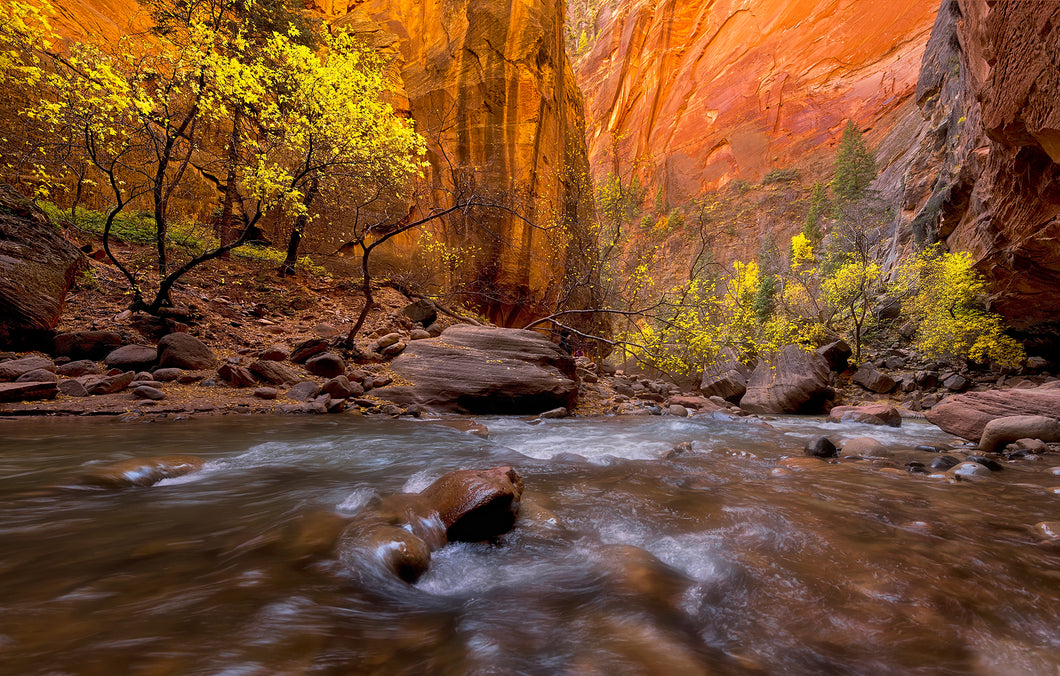 Autumn Springs
