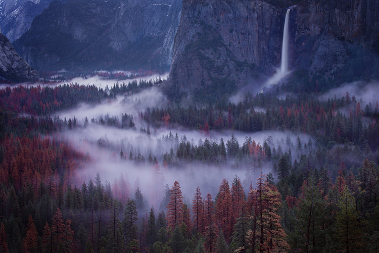 Spring in Yosemite 2025