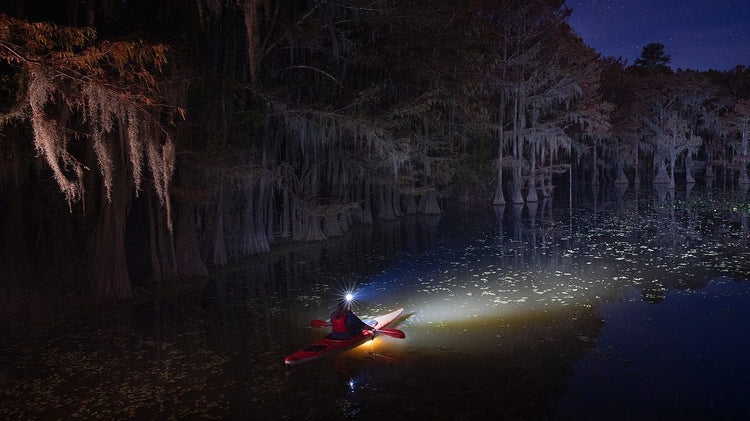 Beauty of the Bayou 2024