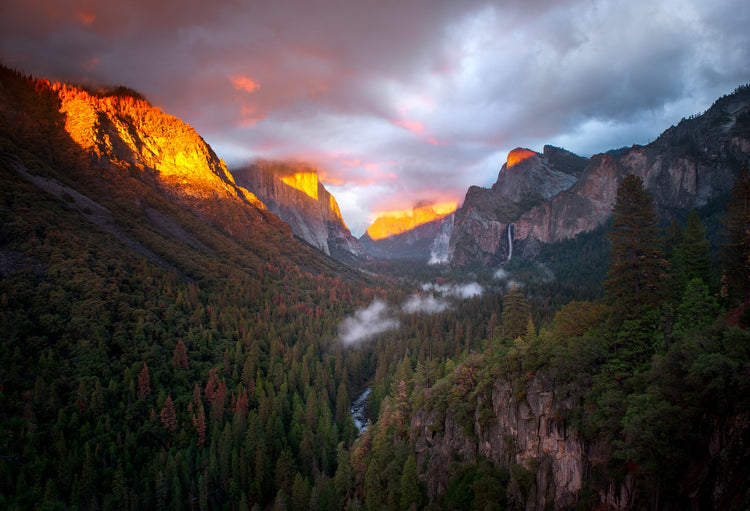 Spring in Yosemite 2025 – Sapna Reddy