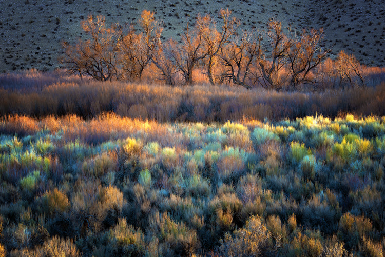 Autumn in Eastern Sierra