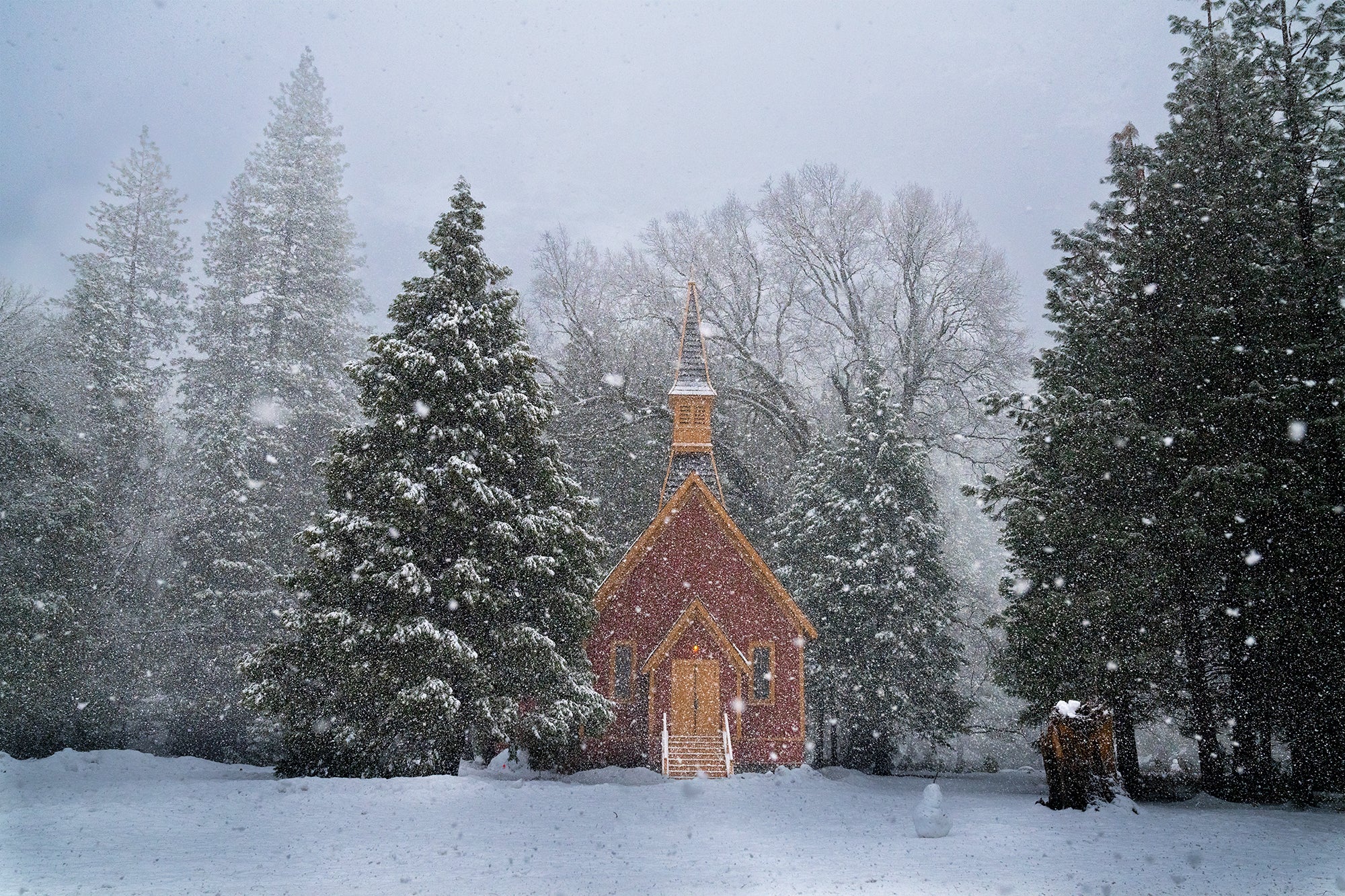 Winter Wonderland
