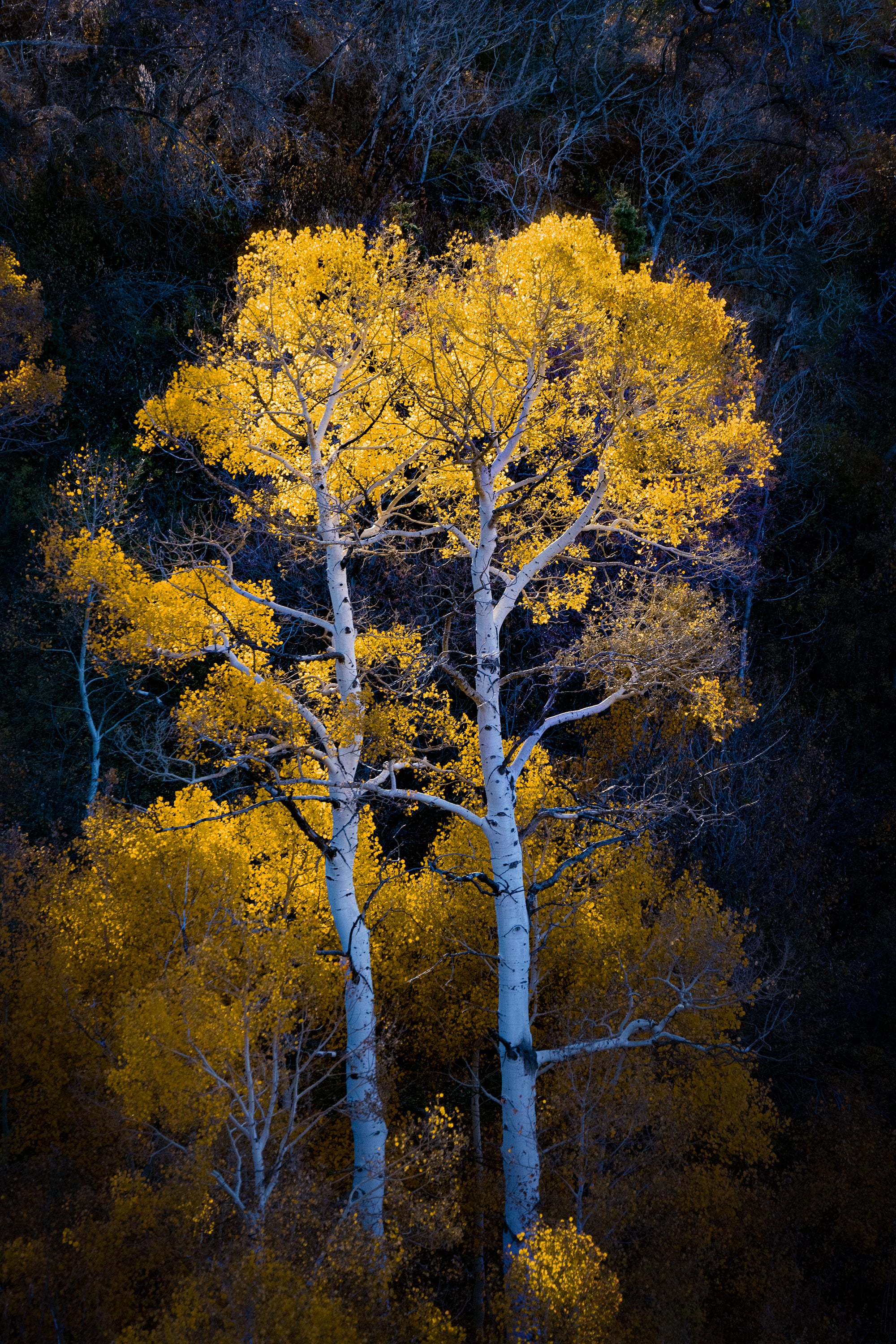Autumn in Utah Badlands