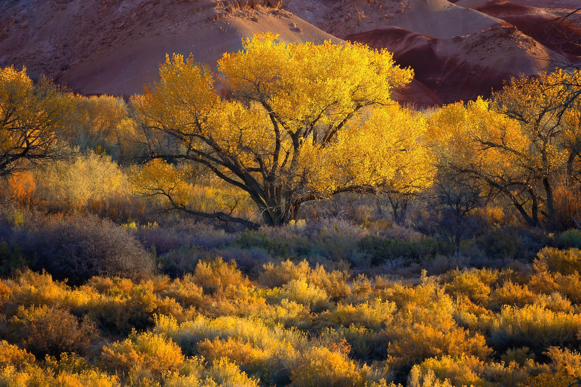 Autumn in Utah Badlands