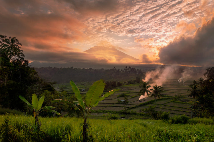 Bali and Java