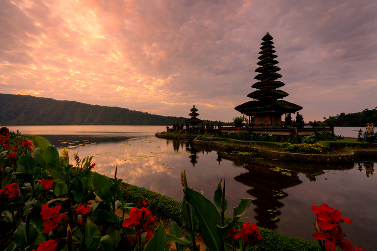 Bali and Java – Sapna Reddy