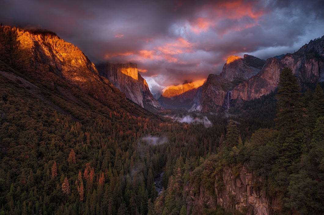 Majestic Yosemite
