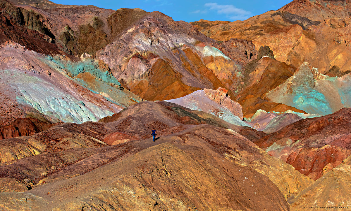 Artist's Palette – Sapna Reddy