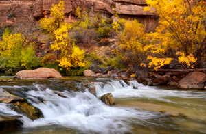 Autumn Falls