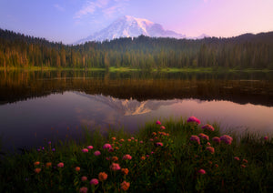 Bliss