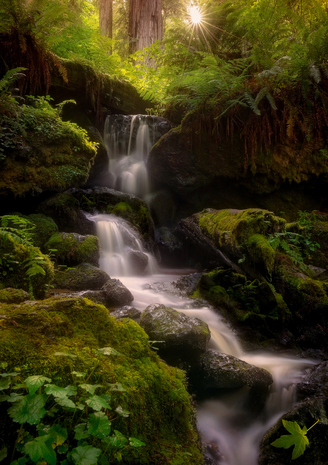Bridal Veil