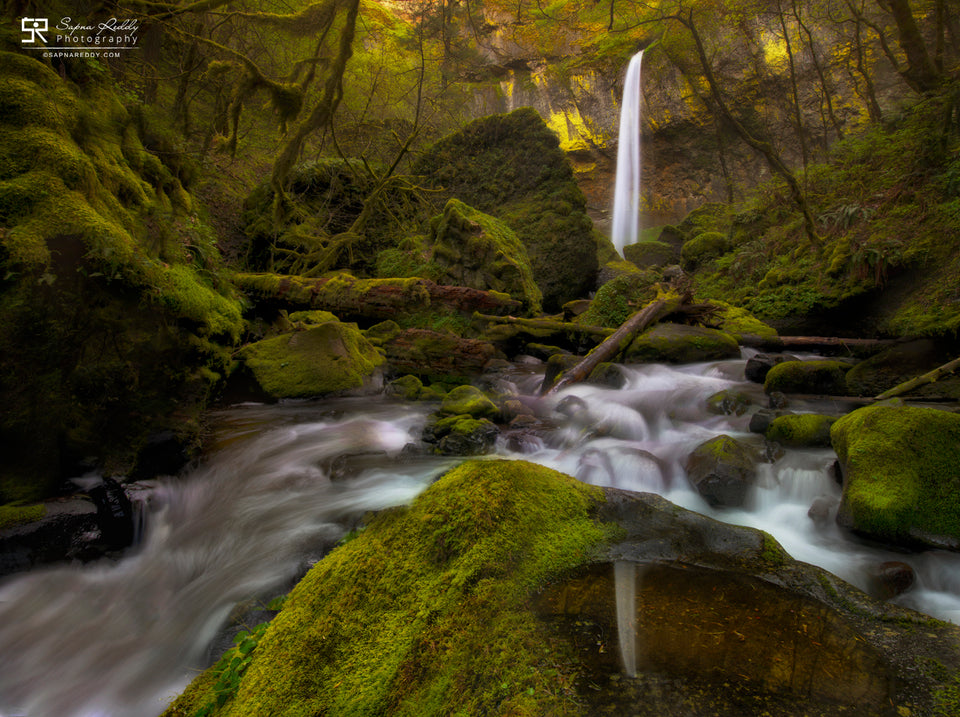 Elowah Falls - 