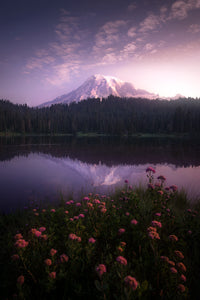 Essence of Dawn