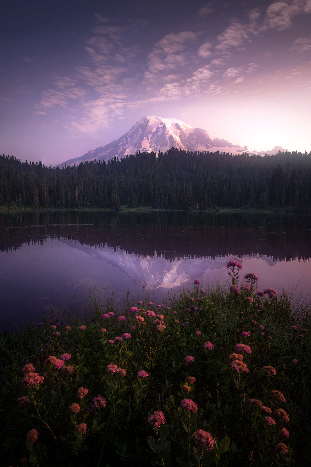 Essence of Dawn