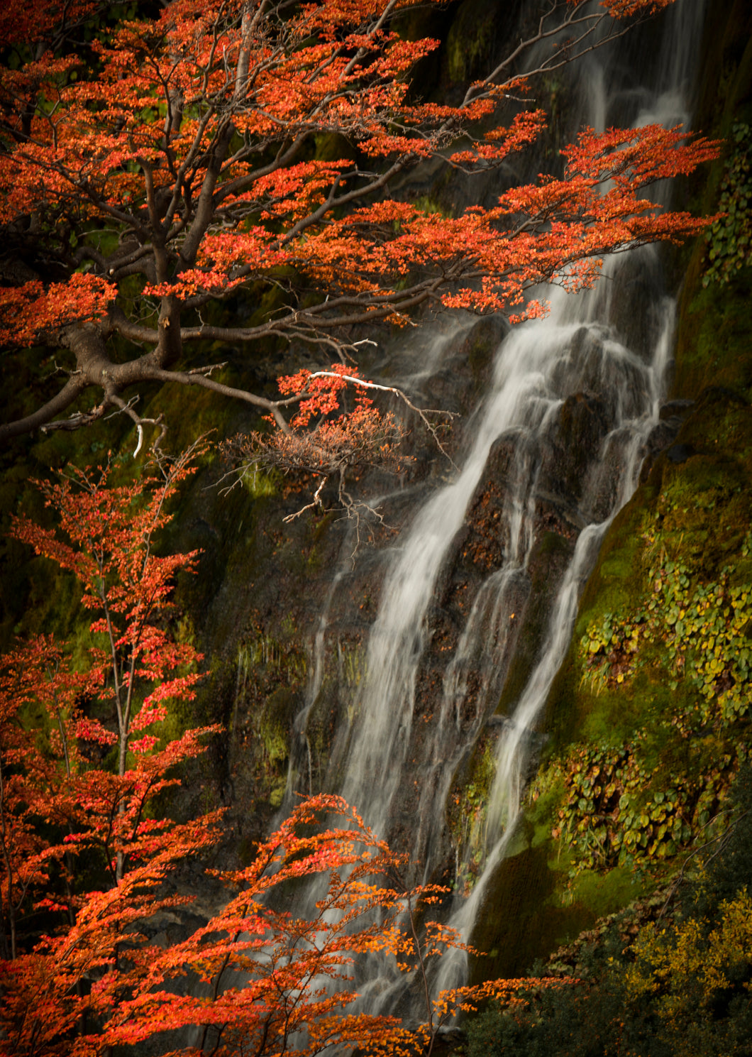 Hidden Treasures