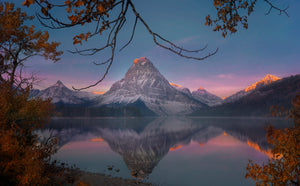 Quiescence