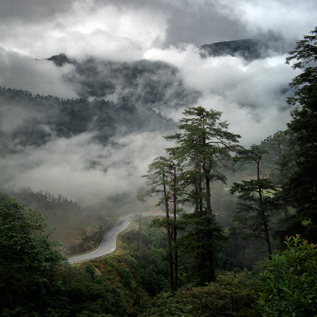 Road Less Traveled