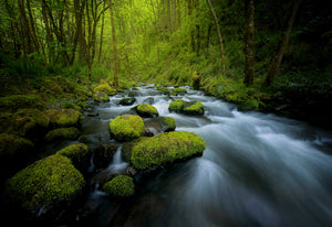 Stepping Stones
