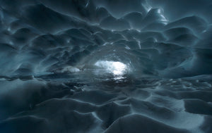 The Portal
