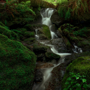 Trillium Falls