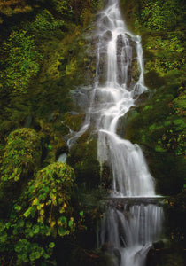Verdant Cascade