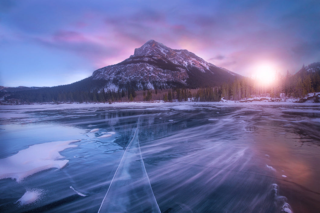 Winter Bright