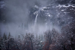 Winter Rising