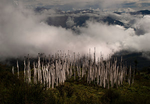 Bhutan