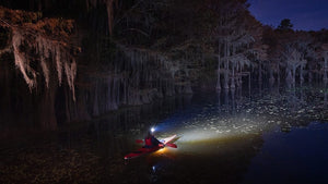 Beauty of the Bayou